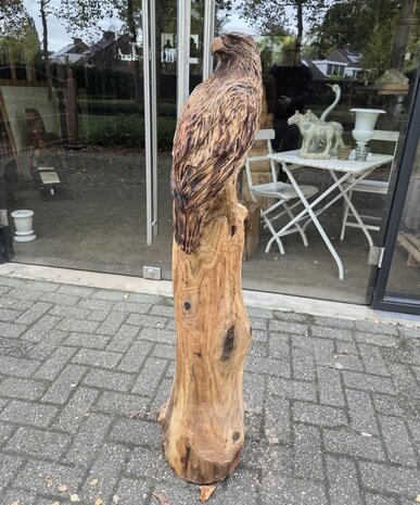 Adelaar-zeearend-outsnijwerk-tuinbeeld-hout-4