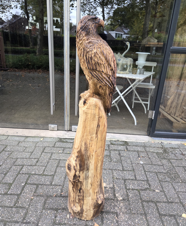Adelaar-zeearend-outsnijwerk-tuinbeeld-hout-5