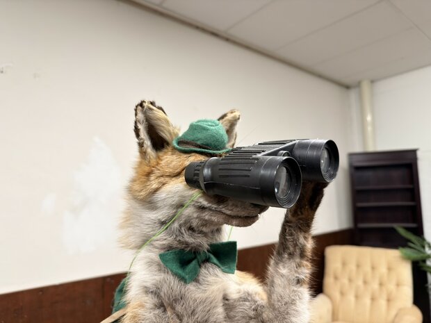 Taxidermie-Opgezet-Vos-verkleed-als-Jager