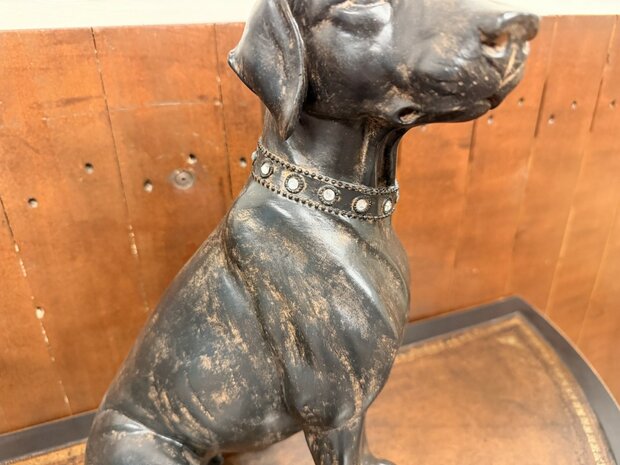 Klassiek-Engels-Antiek-Oud-Chesterfield-Beeld-Labrador-Hond-4