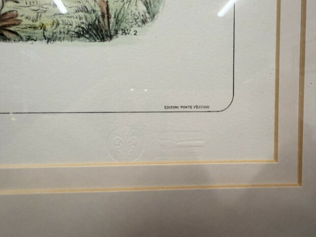 Klassiek-Antiek-Oud-Engels-Prent-The-Famous-Horse-Volunteer-While-Is-Running-Record-3