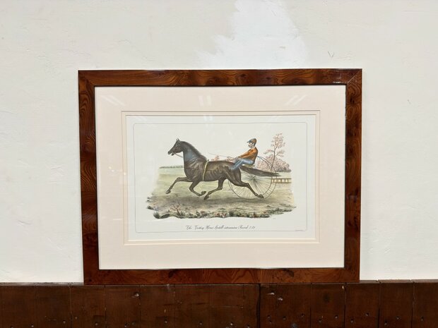 Klassiek-Oud-Antiek-Engels-Prent-The-Trotting-Horse-Axtell-Record