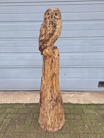 Groot-houtsnijwerk-houtsculptuur-tuinbeeld-kunstwerk-van-een-uil