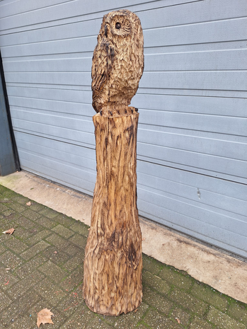 Groot-houtsnijwerk-houtsculptuur-tuinbeeld-kunstwerk-van-een-uil-2