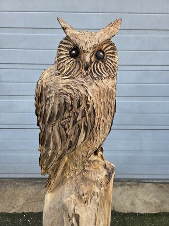 Houtsnijwerk-houtsculptuur-tuinbeeld-kunstwerk-van-een-uil-met-oren-3