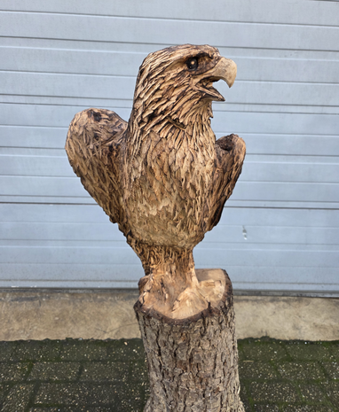 Houtsnijwerk-houtsculptuur-tuinbeeld-kunstwerk-van-een-zeearend-adelaar-roofvogel-1
