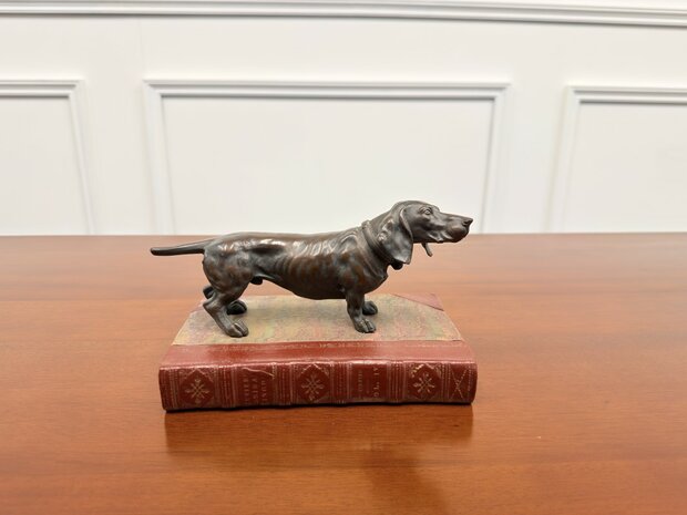 Klassiek-antiek-beeld-van-een-Engelse-jachthond-hond-bronskleurig