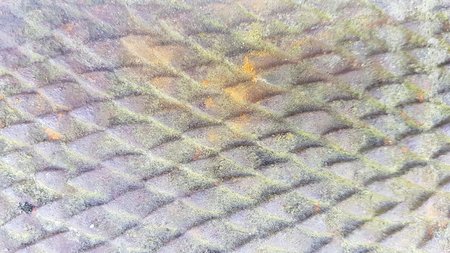 Gusseisen Igel