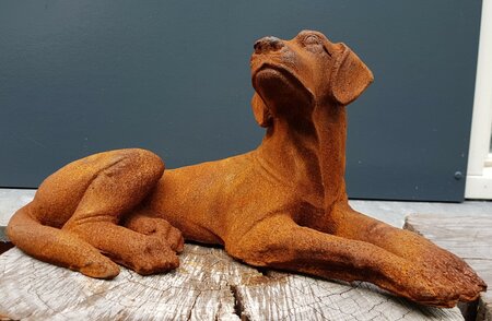 Gusseisen Hund