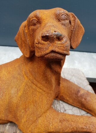 Gusseisen Hund