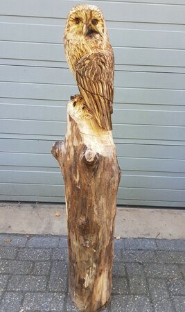 Große Holzschnitzerei Eul