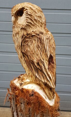 Große holzschnitzerei Schleiereule