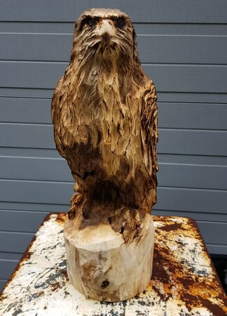 Holzschnitzerei Raubvogel