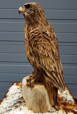 Holzschnitzerei Raubvogel