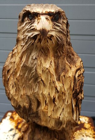 Holzschnitzerei Raubvogel