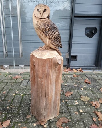 Große holzskulptur Schleiereule