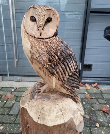 Große holzskulptur Schleiereule
