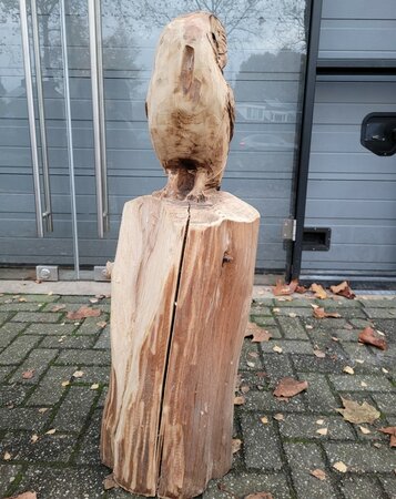 Große holzskulptur Schleiereule