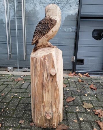 Große holzskulptur Schleiereule