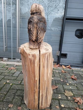 Große holzskulptur Schleiereule
