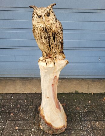 Große holzskulptur Eule