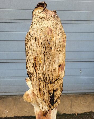 Große holzskulptur Eule