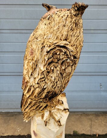 Große holzskulptur Eule
