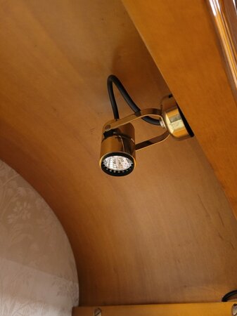 Große Antike Italienisches wurzelholz bücherschrank