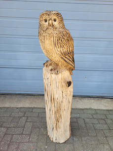 Holzskulptur einer Eule
