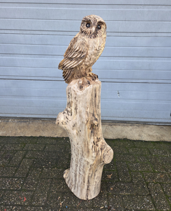 Holzskulptur einer Eule