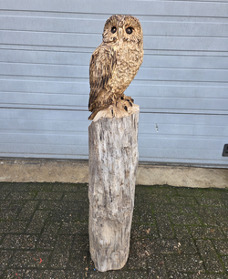 Holzskulptur einer Eule