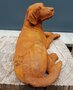 Gusseisen Hund