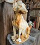 Antike gusseisen Hund