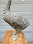 Bronze kunstwerk eines Goose