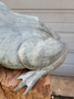 Antike bronze statue von eines Frosch